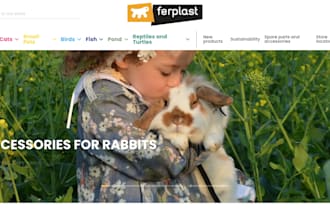ecommerce website pet supplies, clothing, food bowls, pet carriers, pet collars