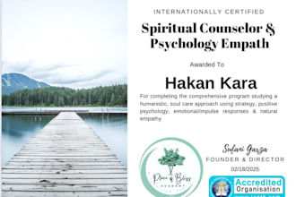 provide powerful energy healing sessions for you
