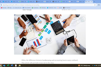 provide expert accounting and bookkeeping services