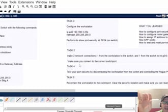 complete capella bs, ms IT flexpath assessments