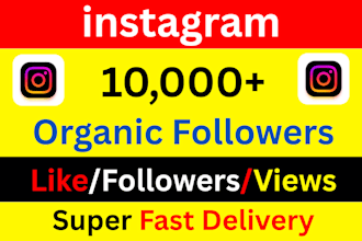 increase 10k instagram followers with lifetime guarantee