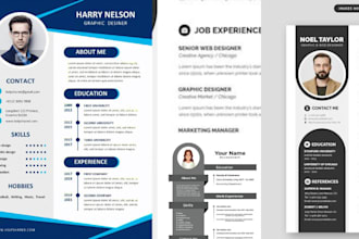 write senior, director, vp, ceo, executive resume and cover letter