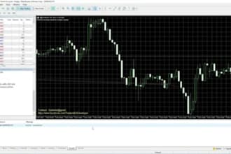build  trading bots, expert advisors, or indicators for mt4, mt5, ninjatrader