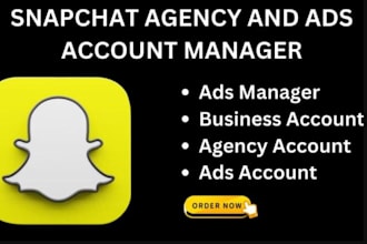 run snapchat ads campaign snapchat agency snapchat video ads