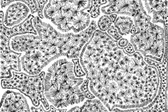 design detailed floral and abstract line art illustrations