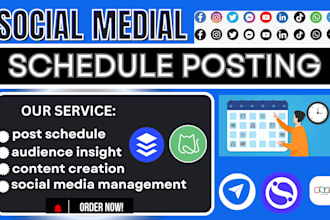 be social media marketing manager do schedule post via loomly metricool sendible