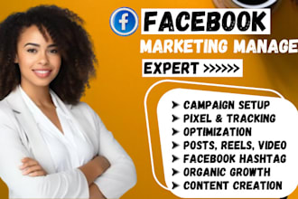 be your facebook marketing manager, fb ad campaign, social media manager