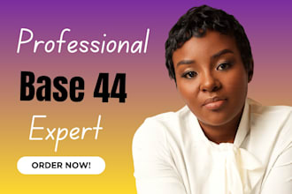 build base 44, base 44 integration, base 44 automation, base 44 web app fix base