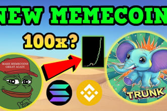 raise 15k sol for solana meme coin telegram promotion pump fun promotion bsc