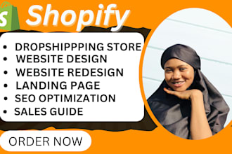 build shopify website design redesign dropshipping store shopify store design
