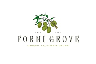 design premium olive oil logo