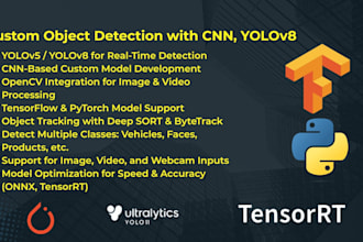 do deep learning with neural network, tensorflow, nlp, ml, cnn, projects