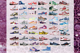 draw a custom shoe collection for you