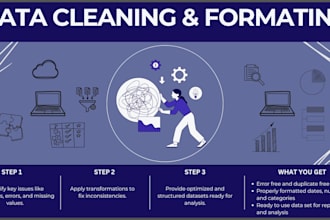 perform fast and accurate data cleaning and formatting in excel, python, or sql