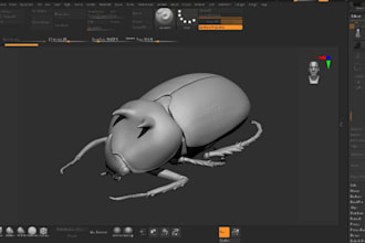 do 3d animal model animal character realistic insect model for 3d printing