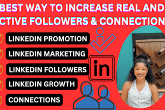 be your social media manager content creation instagram and linkedin marketing
