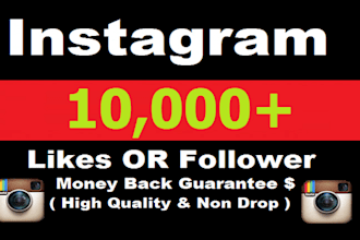 professional instagram growth, followers promotion get 10,000 real people