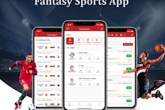 get custom fantasy sports websites, fantasy football tournament,esport website