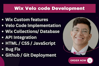 do wix velo code custom features wix database api integration HTML CSS js form