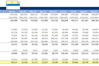forecast future expenses and create income statement based on scenarios