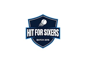 create a modern and custom sports cricket logo design