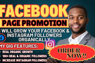 grow your facebook page following fast organically increase instagram follower