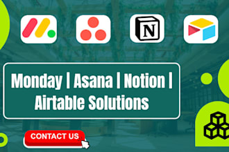 setup and optimize your monday, asana, notion workspace