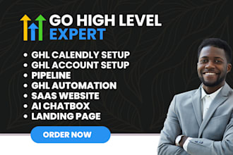 build gohighlevel saas website domain connection white label setup landing page