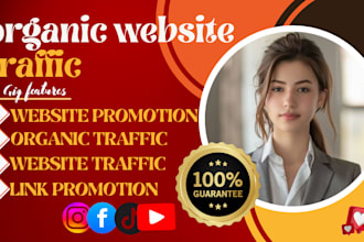 do website promotion, social media ads, to increase organic website traffic