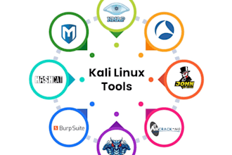 do manual web application penetration testing owasp top 10