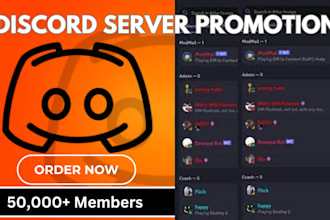 do professsional discord server growth and discord server promotion