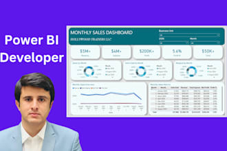 be your dedicated power bi developer