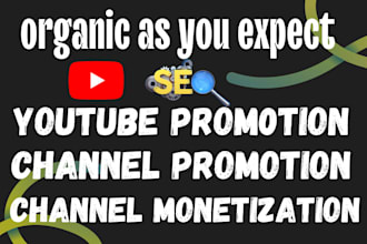 do youtube video promotion and channel monetization to targeted audience