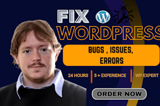 troubleshoot your wordpress website, fix wordpress bugs or errors fast