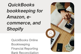 do virtual bookkeeping, bank reconciliations and financial reports