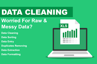 microsoft excel data cleaning