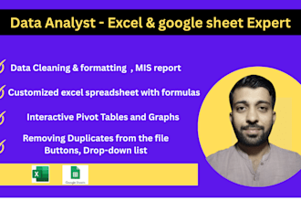 excel data clean, format, and fix formulas professionally