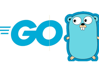 do code fix or build golang projects, go programming language