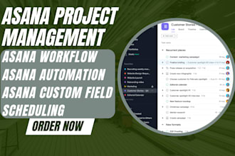 setup project management task on asana, work flow, scheduling asana custom field