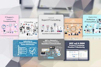 provide expert IT consulting and system administration services
