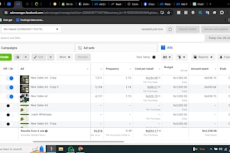 setup meta ads, instagram ads and tiktok for your shopify ecommerce