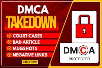 delete negative links, remove mugshots, false bad news articles, cases in google