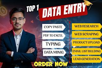 be personal virtual assistant for excel data entry, pdf to excel, copy paste