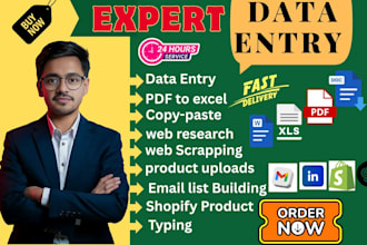 do excel data entry for data entry, copy paste, product uploading