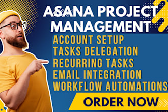 set up asana task delegation, progress reporting tools workflow automation asana