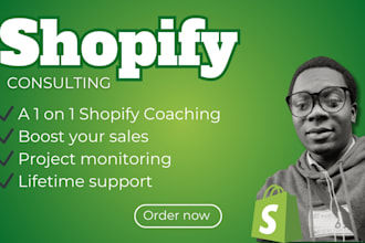 be your shopify mentor shopify coach dropshipping coach ecommerce consultant