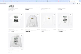 setup your t shirt dropshipping website for clothing brand