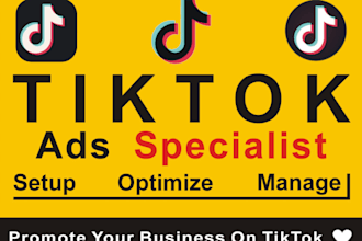 create a verified panel for tiktok ads accout, tiktok agency account, tiktok ads