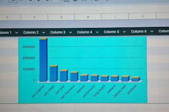be your detail oriented VA for accurate data entry