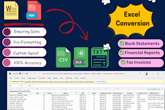 convert pdf or word to excel for financial reports, bank statement, tax invoices